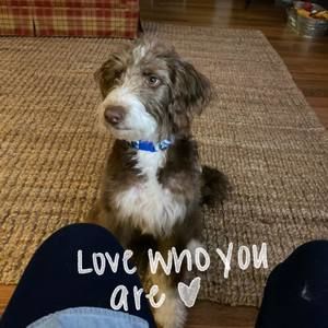 Meet your Posher, Kay